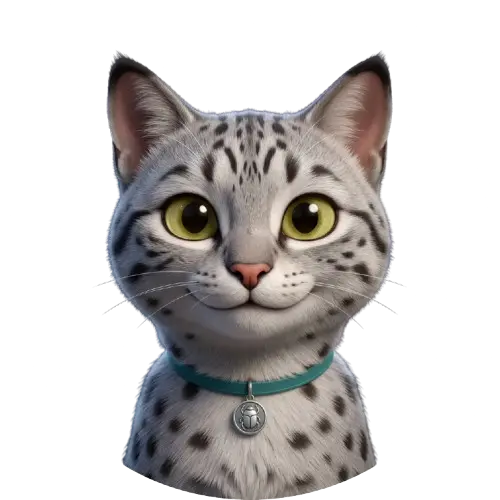 Stella