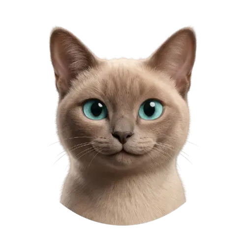 Jack