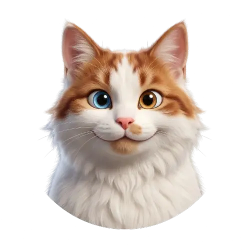 Tofu
