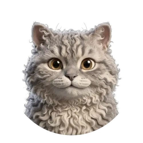 Finn