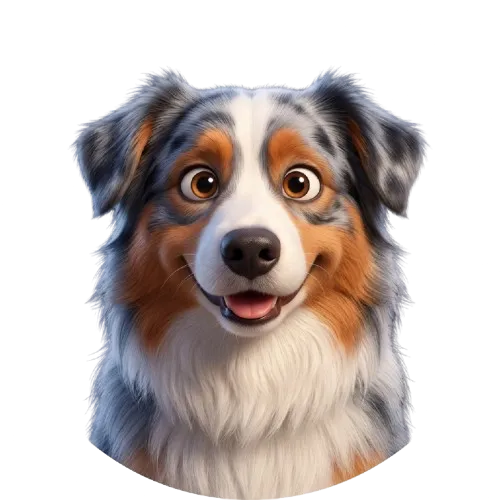 Belle