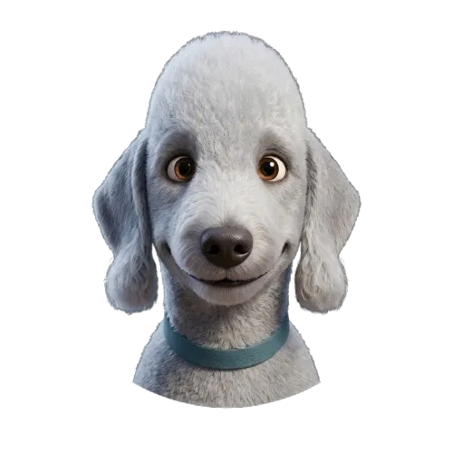 Fido